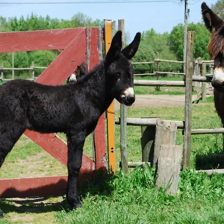 Casa Da Cisterna Landhuis Figueira de Castelo Rodrigo