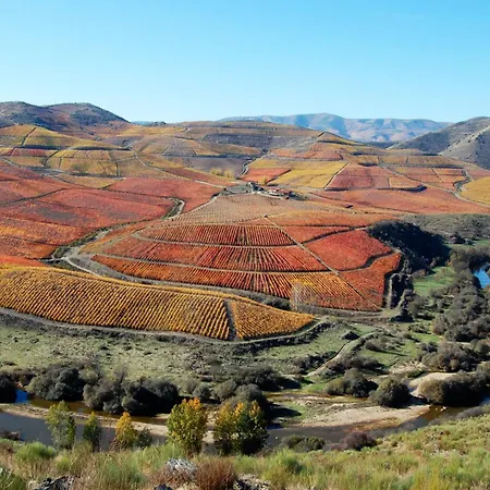 Casa Da Cisterna * Figueira de Castelo Rodrigo