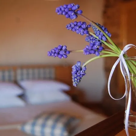 Casa Da Cisterna * Figueira de Castelo Rodrigo