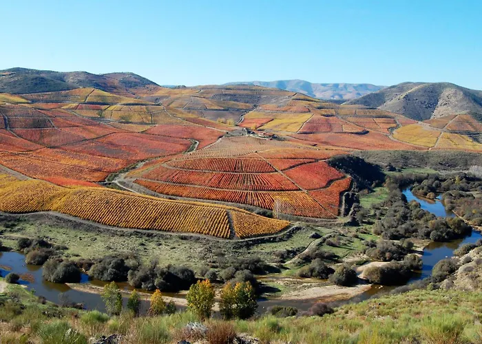 Casa Da Cisterna * פיגואירה דה קסטלו רודריגו