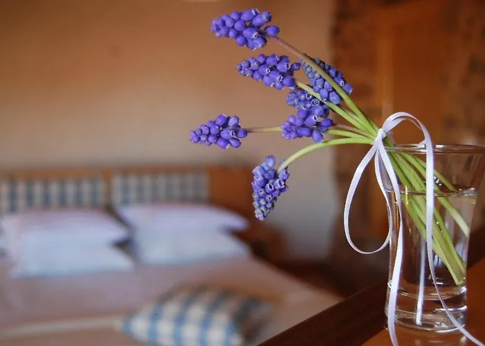 Casa Da Cisterna * Figueira de Castelo Rodrigo